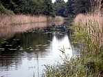 Der Friedrich-Wilhelms-Canal. Früher wurde hier getreidelt, heute wird hier geangelt.