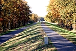 Der Oder-Neiße-Radweg. Eichenwälder im Europäischen Vogel- und Naturschutzgebiet - Mittlere Oder - 
